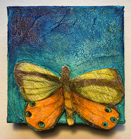 Mini Butterfly 1